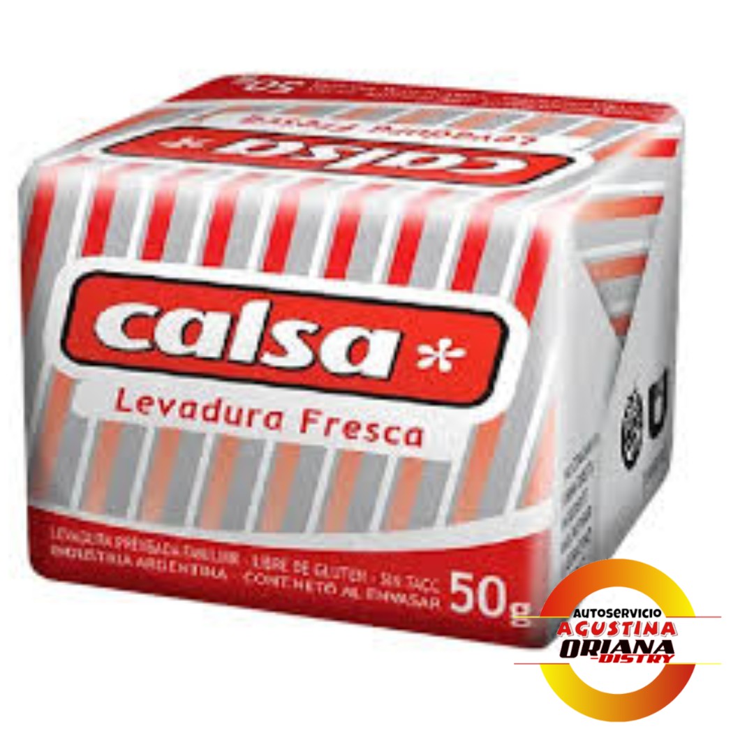 LEVADURA  50G CALSA CUBO
