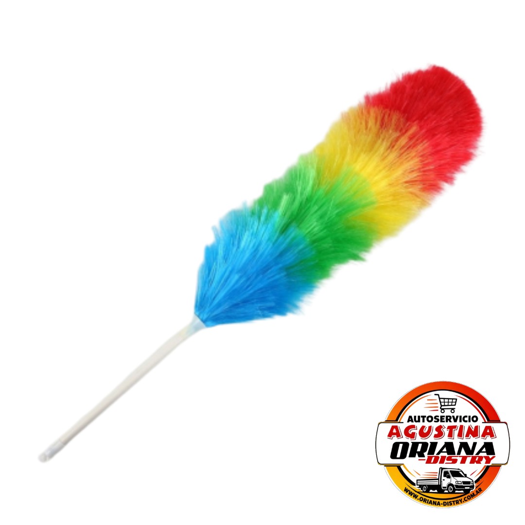 PLUMERO COLORES