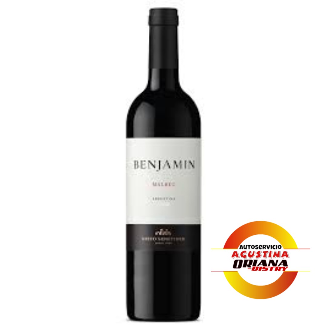 VINO BENJAMIN NIETO MALBEC