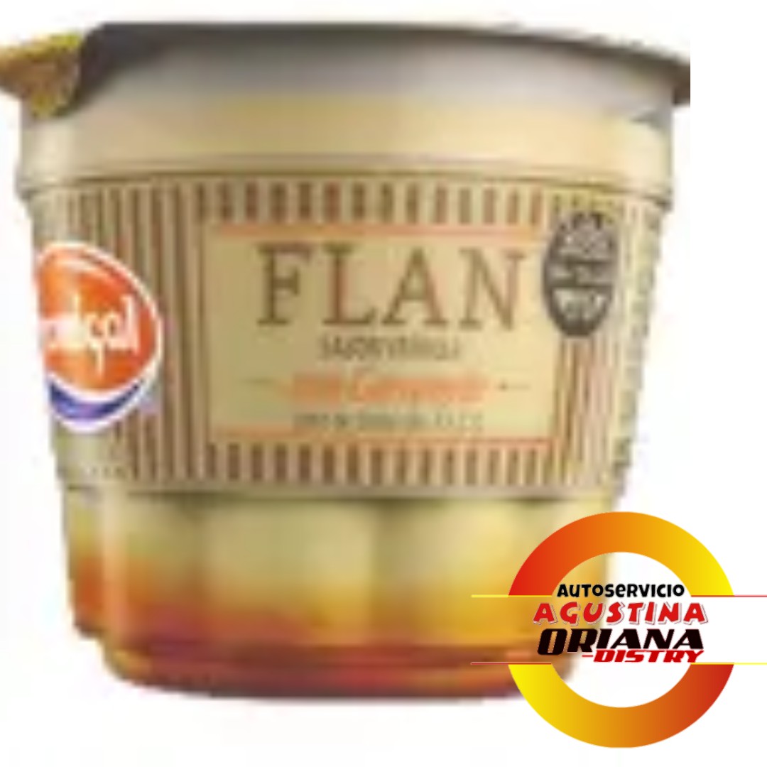 FLAN CREMIGAL 120G